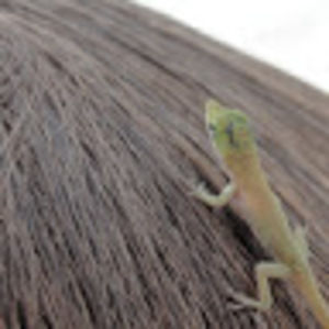 Meet your Posher, About